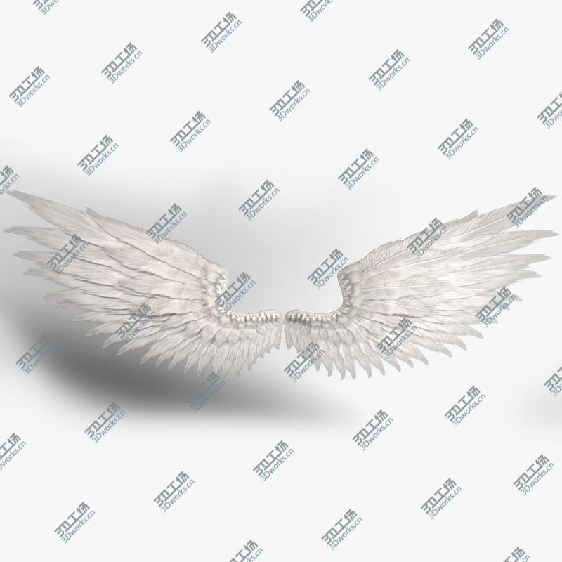 images/goods_img/202105072/3D Angel Wings/1.jpg